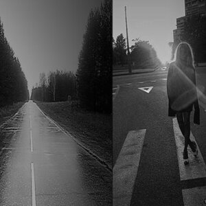 Photo 221195