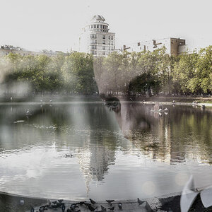 Photo 7265449