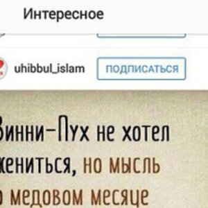 Gamza Mehraliev picture