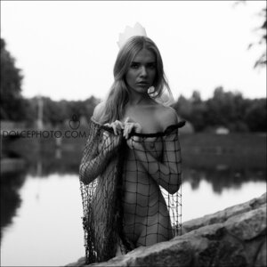 Photo 2598791