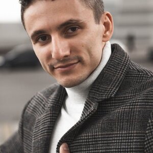 Litvinov picture