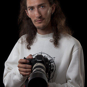SokirLov picture