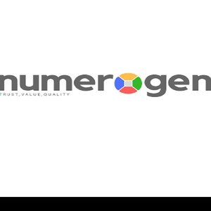 Numerogen Solutions picture