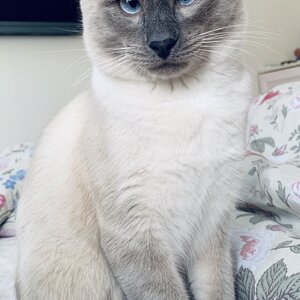 BВB