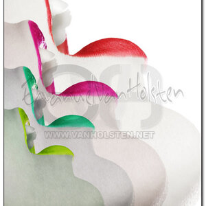 Emanuel Van Holsten picture