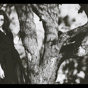 Photo 4331621