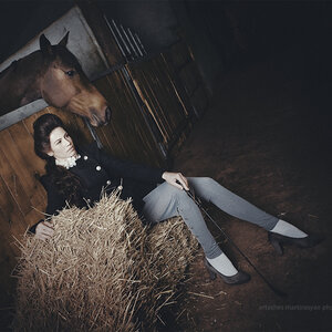 Photo 4084964