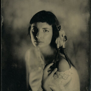 Амбротипия Фото на стекле, 18х24см Ambrotype, Wet Plate Collodion www.ambrotype.com.ua