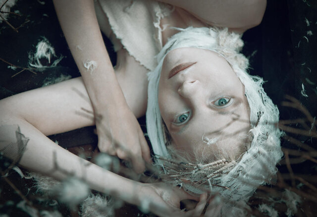Dmitry Biryukov's photo