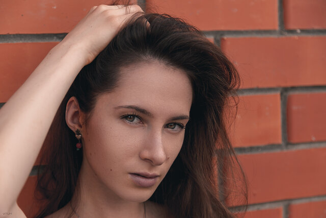 Foto Dar'a Stegno