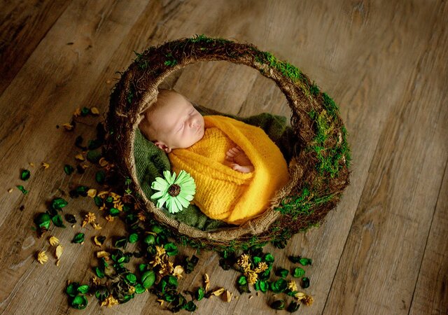 Rodion Erofeev's photo