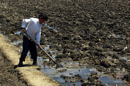 Фото Andrés Díaz Cervantes