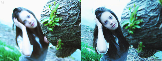 Фото Vlada Krutko