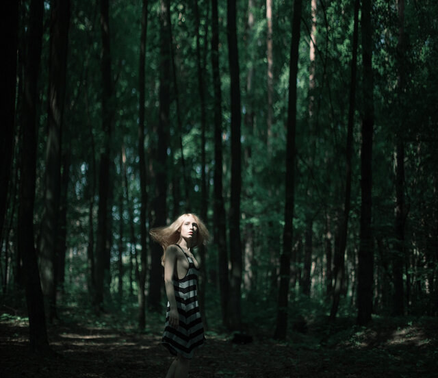лес, природа, Nature