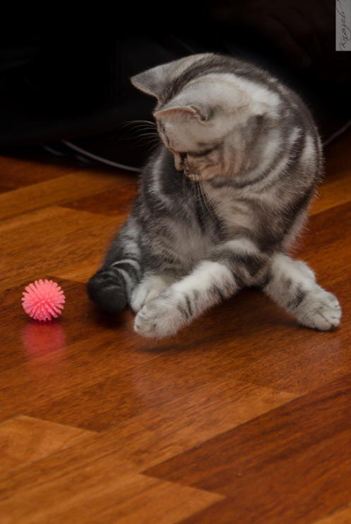 Sergey Knyazev's photo