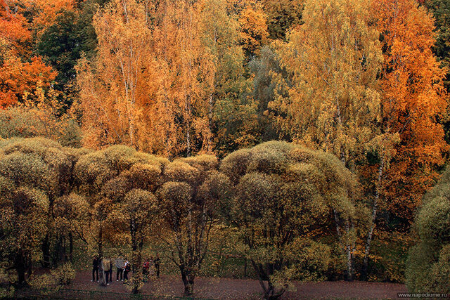 照片Andrej Vojcehov