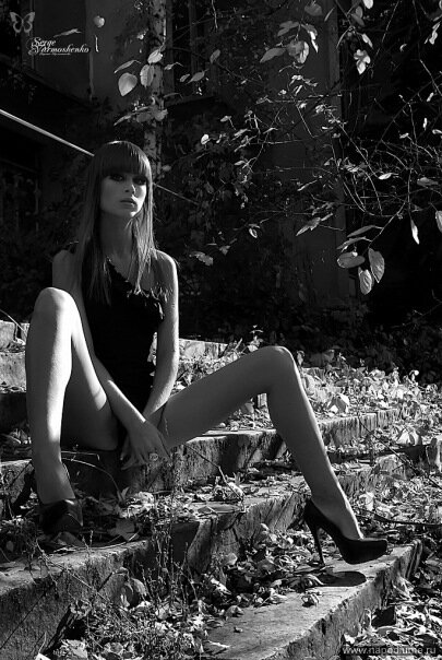 teddy's photo