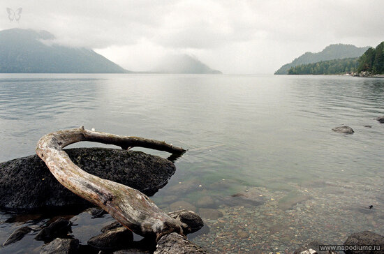 Suren Bagadzian's photo