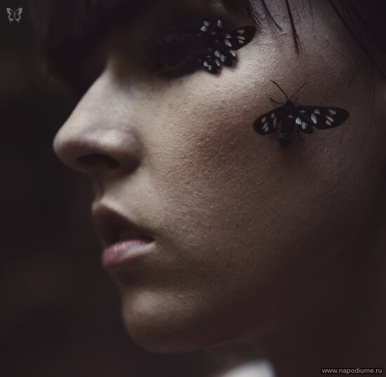 Фото Ann Pryanikova