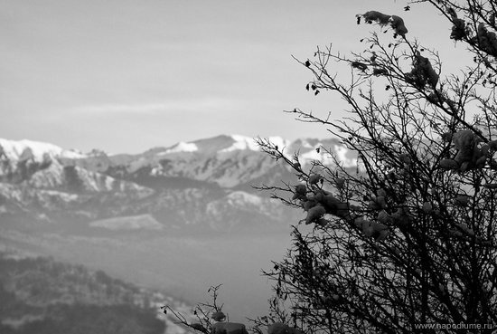 Valentina Vik's photo