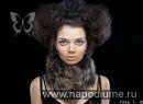 Aleksandra Romanovic's photo