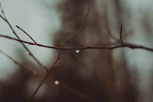Elen Gosudareva's photo