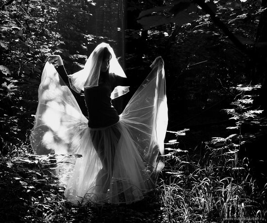 Julia Kazakova's photo