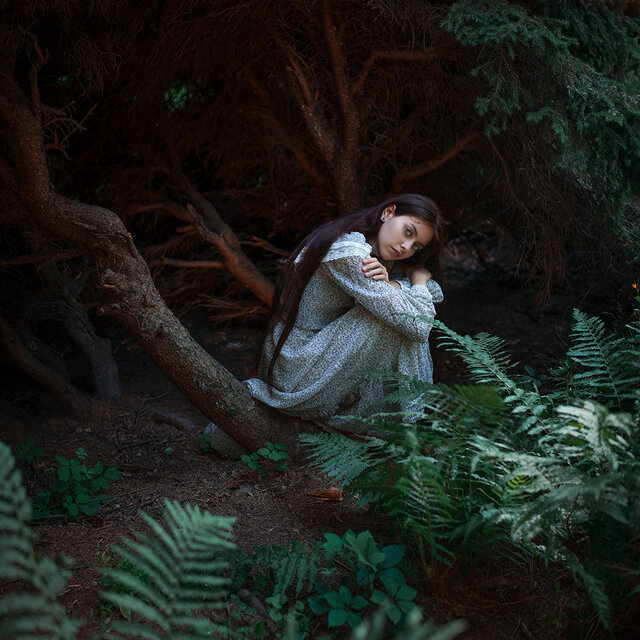 Dark forests