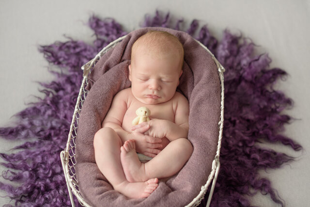 Dina Koles's photo