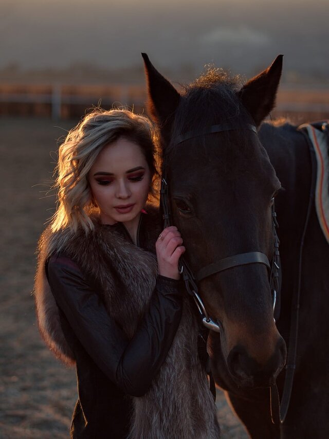 Horse, Bridle, Vertebrate, Halter, Mammal, Rein, Horse supplies, Horse tack, Mane, Stallion