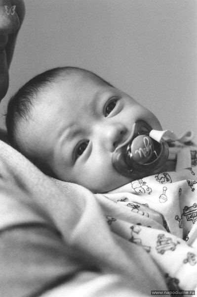 Gavrikov Nikolay's photo