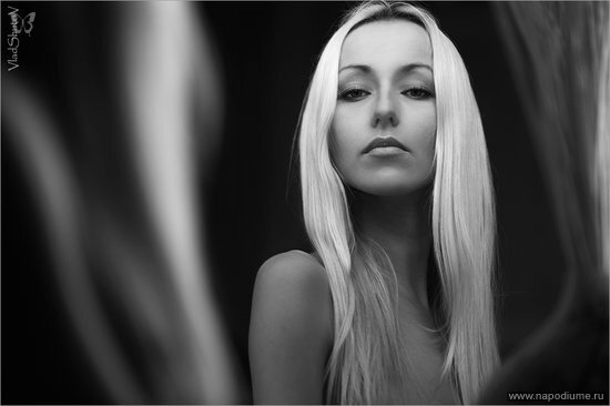Фото Vlad Shutov