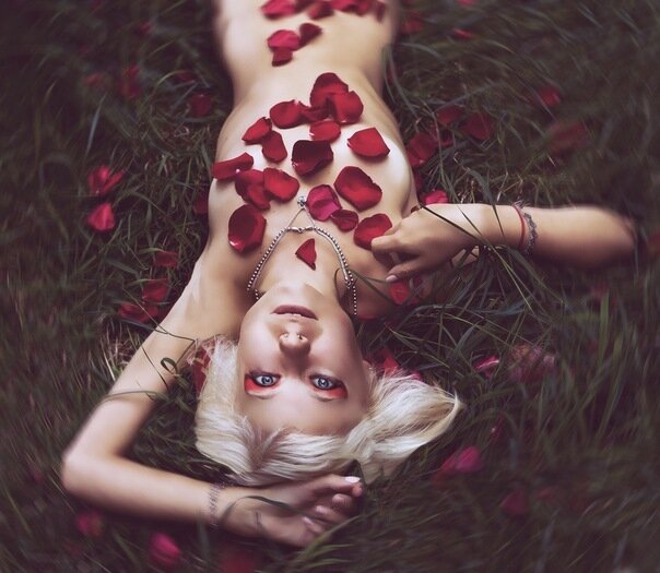 Dar'a SHU's photo