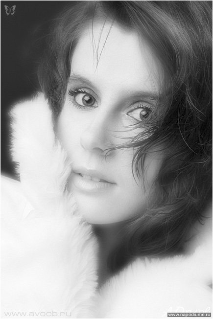 Alexander Orlov's photo