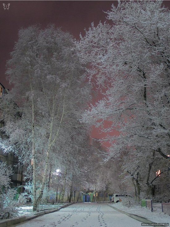 Фото Алексей Курченко