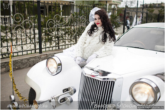 Ilona Nestorovich's photo