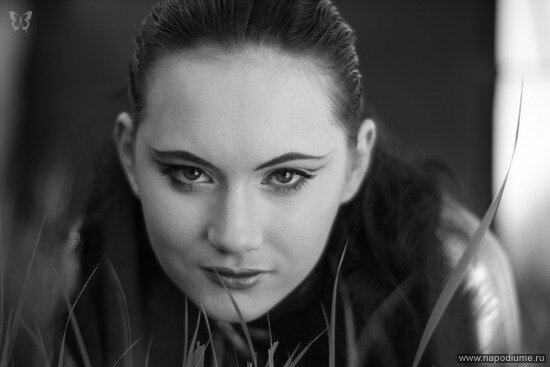 Svet Lana Queen's photo