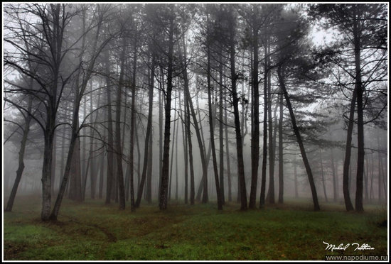 Mihail Tolstihin's photo