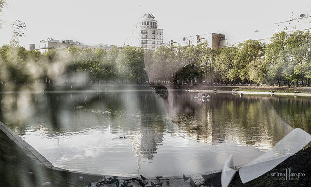 Vladimir Smirnov's photo