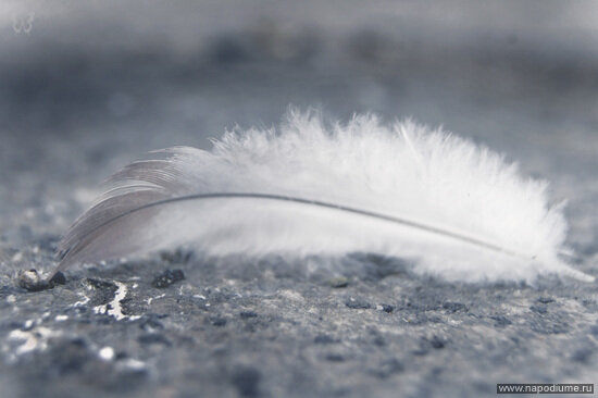 Vladimir Baandurov's photo