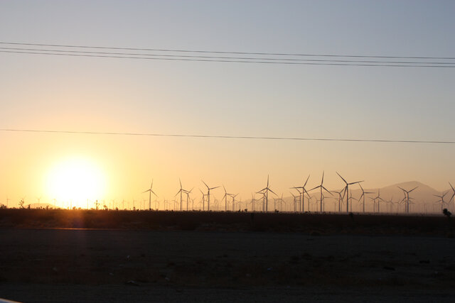 Фото Shawn Wilson