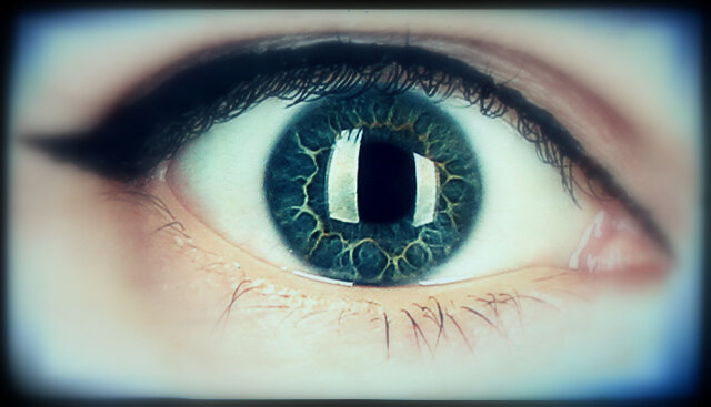 Фото Platon