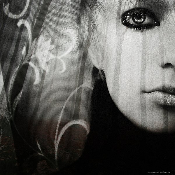 Ann Amsterdam's photo