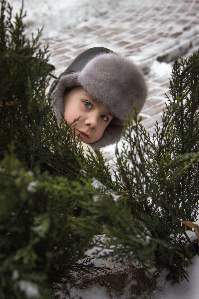 Artjom Holopov's photo