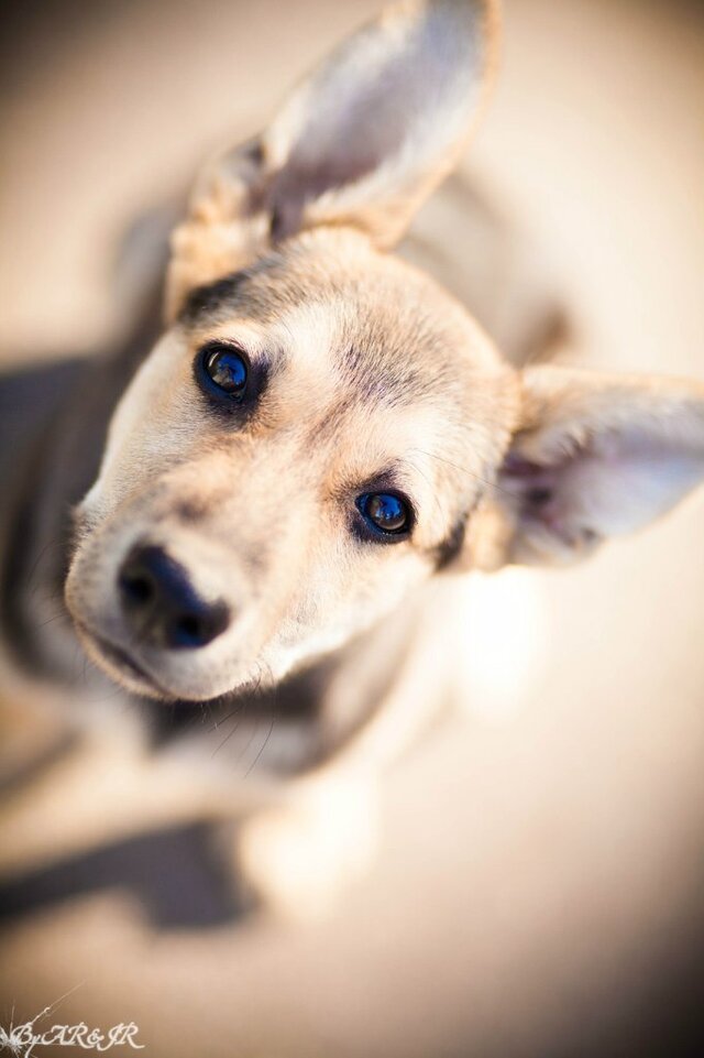 Anton Rjazanov's photo