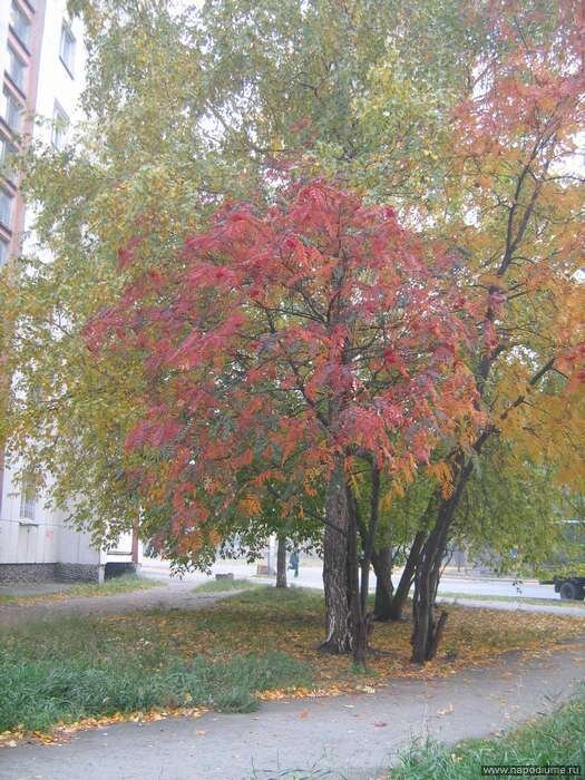 Фото Феликс Смирнов