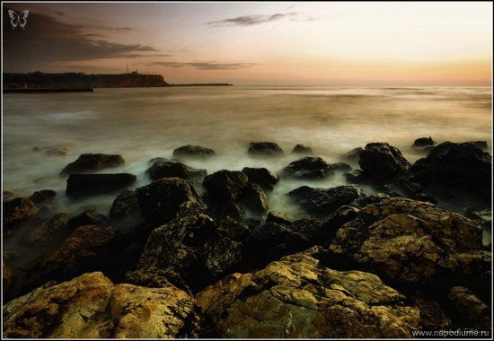 Mihail Tolstihin's photo