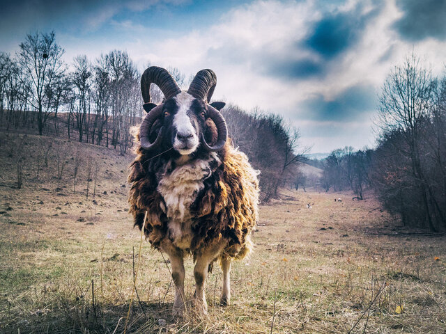 Фото Ruslan Shatskih