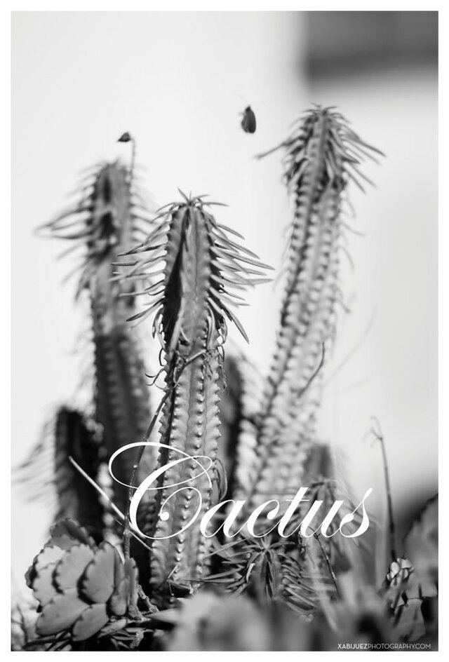 Фото Xabi Juez