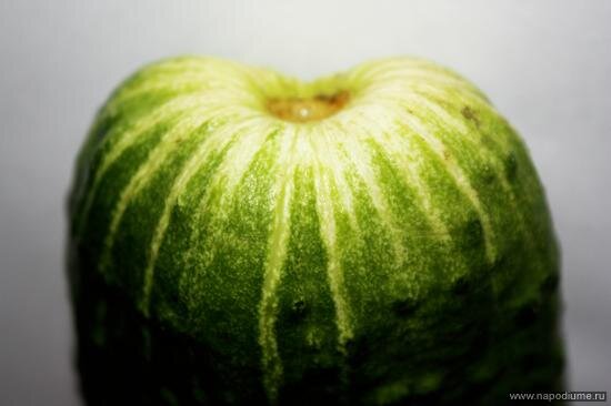 照片Olesa Vazula